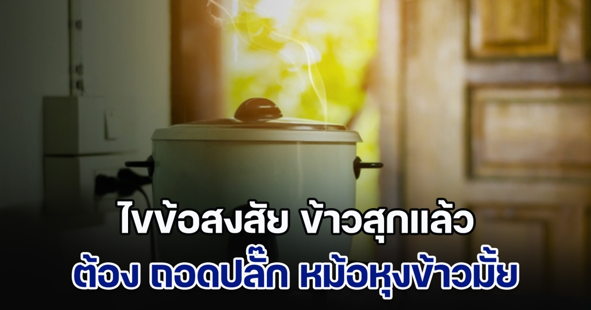ไขข้อสงสัย ข้าวสุกแล้ว ต้อง ถอดปลั๊ก หม้อหุงข้าวมั้ย หลายคนอาจทำผิดมาโดยตลอด