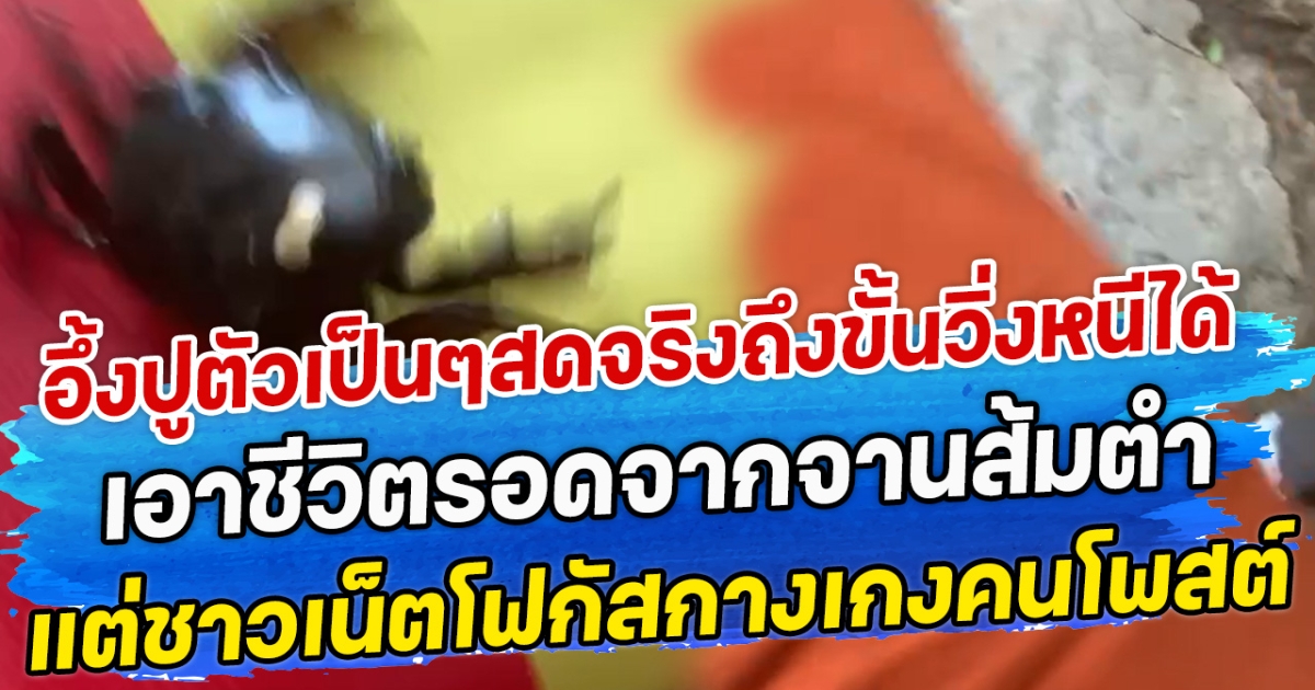 อึ้งปูตัวเป็นๆสดจริงถึงขั้นวิ่งหนีได้ เอาชีวิตรอดจากจานส้มตำ แต่ชาวเน็ตโฟกัสกางเกงคนโพสต์