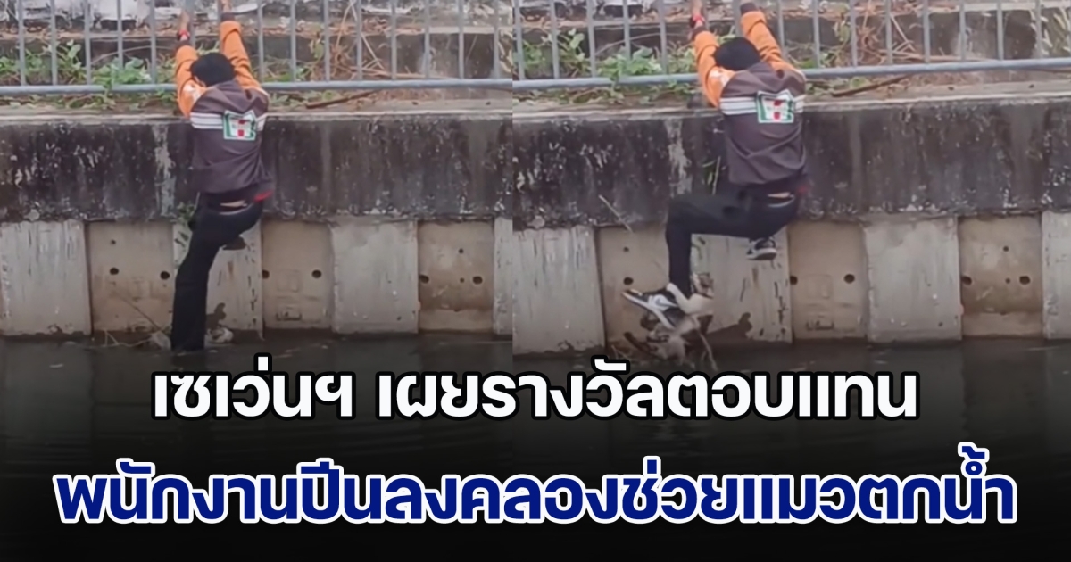 ชื่นชม! เซเว่นฯ เผยรางวัลตอบแทน พนักงานปีนลงคลองช่วยชีวิตแมวตกน้ำ
