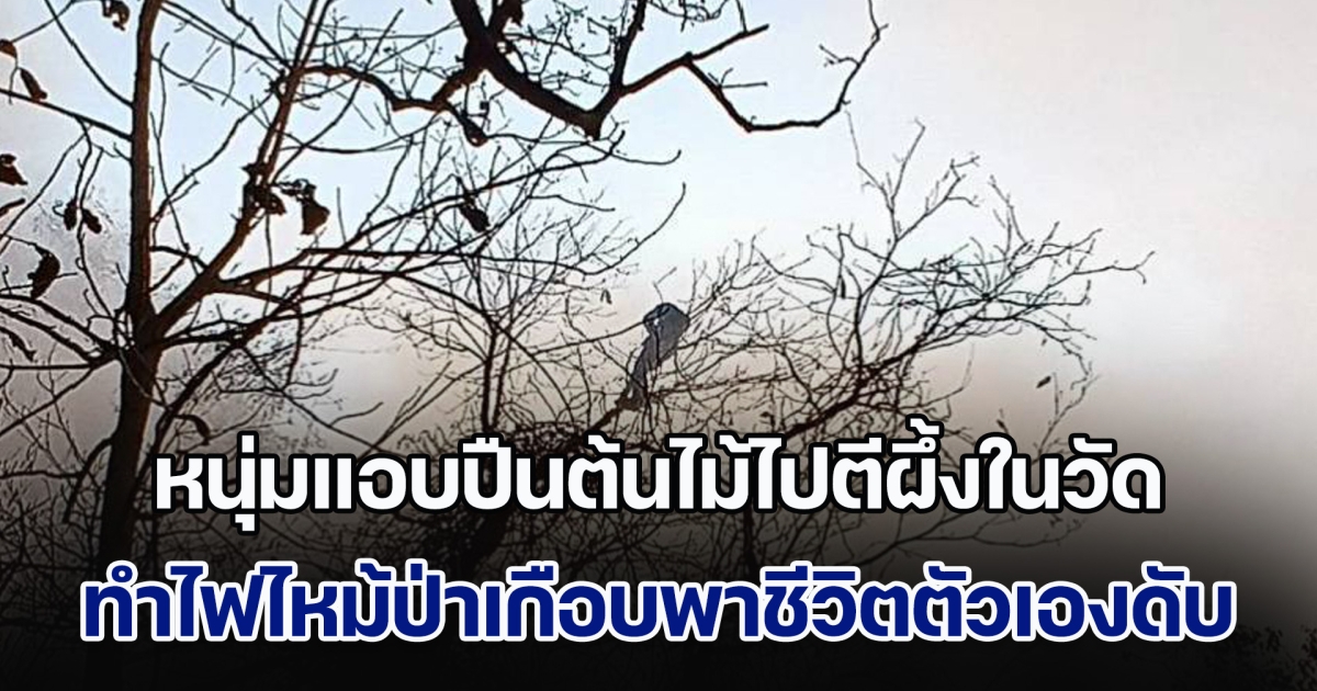 หนุ่มแอบปืนต้นไม้ไปตีผึ้งในวัด ทำไฟไหม้ป่าเกือบพาชีวิตตัวเองดับ