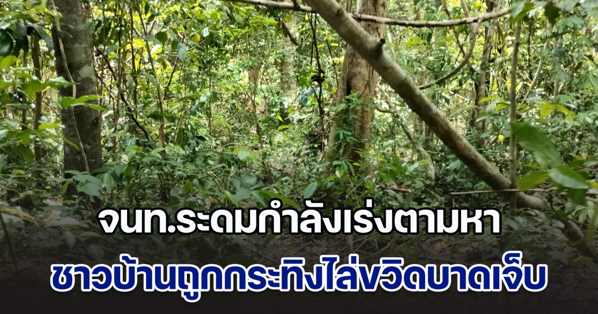 ด่วน! จนท.ระดมกำลังเร่งตามหา ชาวบ้านถูกกระทิงไล่ขวิด