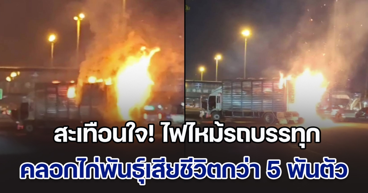 สะเทือนใจ! ไฟไหม้รถบรรทุก คลอกไก่พันธ์ุเสียชีวิตกว่า 5 พันตัว หนุ่มคนขับเล่านาทีสุดช็อก