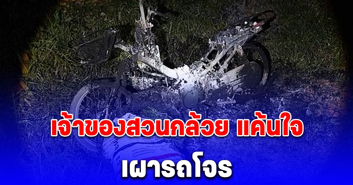 เจ้าของสวนกล้วย แค้นใจ เผารถโจรหลังเข้ามาขโมยกล้วย แล้วโดนจับได้พอดี เจ้าตัวแผ่นหนี ทิ้งรถไว้