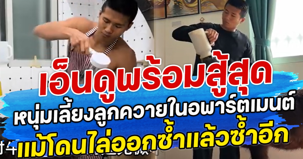 เอ็นดูพร้อมสู้สุด หนุ่มเลี้ยงลูกควายในอพาร์ตเมนต์ แม้โดนไล่ออกซ้ำแล้วซ้ำอีก