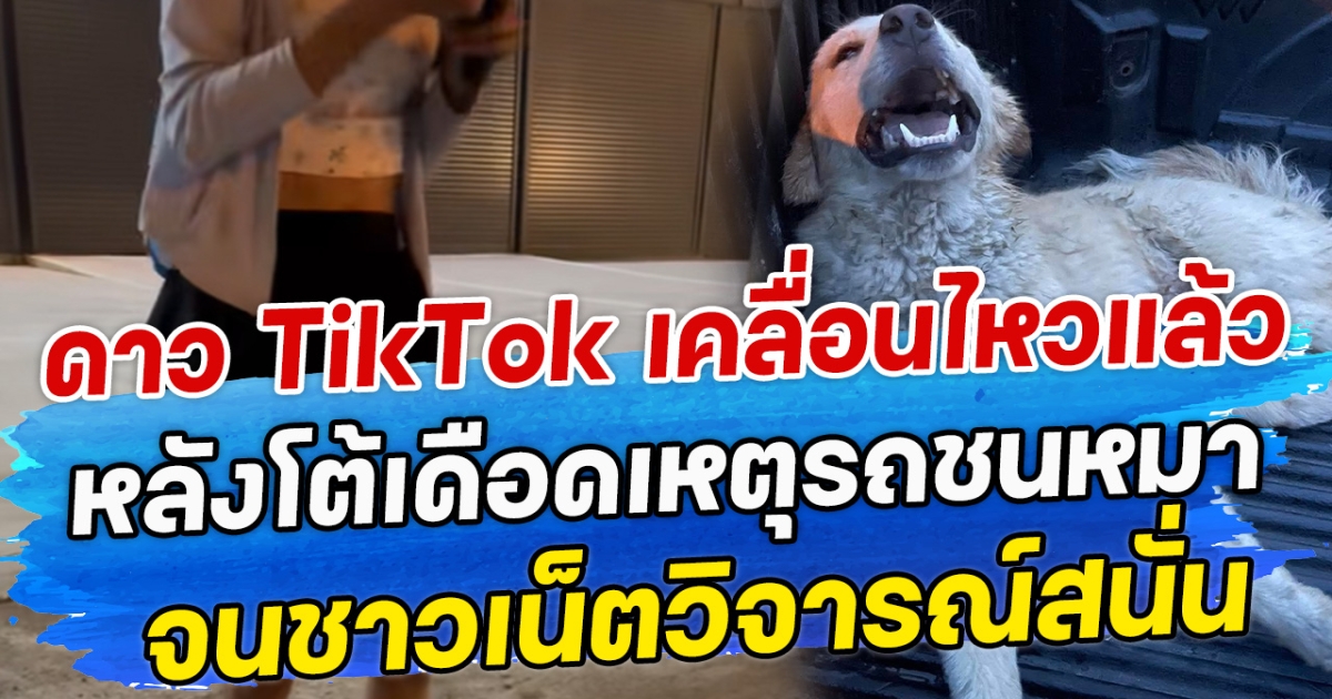 ดาว TikTok เคลื่อนไหวแล้ว หลังโต้เดือดเหตุรถชนหมา จนชาวเน็ตวิจารณ์สนั่น