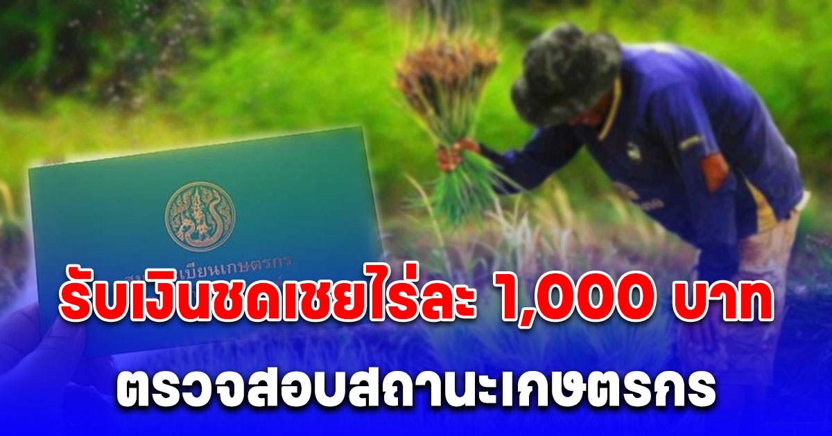 รีบลงก่อน 30 เม.ย.68 ตรวจสอบสถานะเกษตรกร รับไร่ละ 1,000