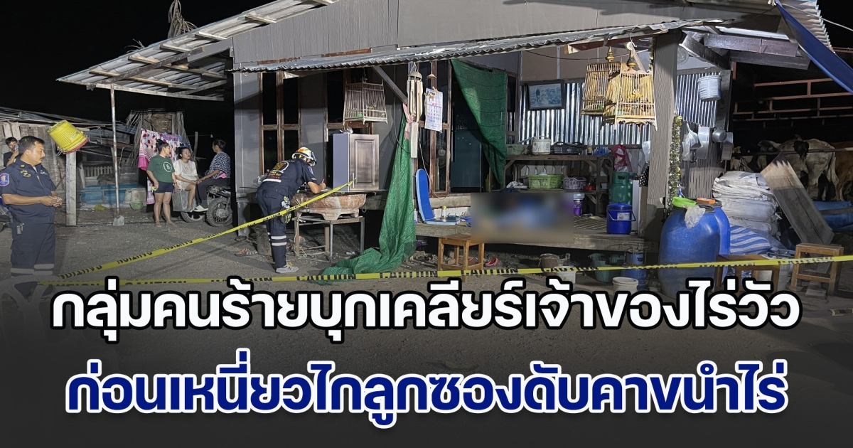 ศึกนายฮ้อยทมิฬ! กลุ่มคนร้ายบุกเคลียร์เจ้าของไร่วัว ตั้งศาลเตี้ยรีดเค้นเรื่องวัวหาย ก่อนเหนี่ยวไกลูกซองดับคาขนำไร่ สุดท้ายเป็นเรื่องเข้าใจผิด