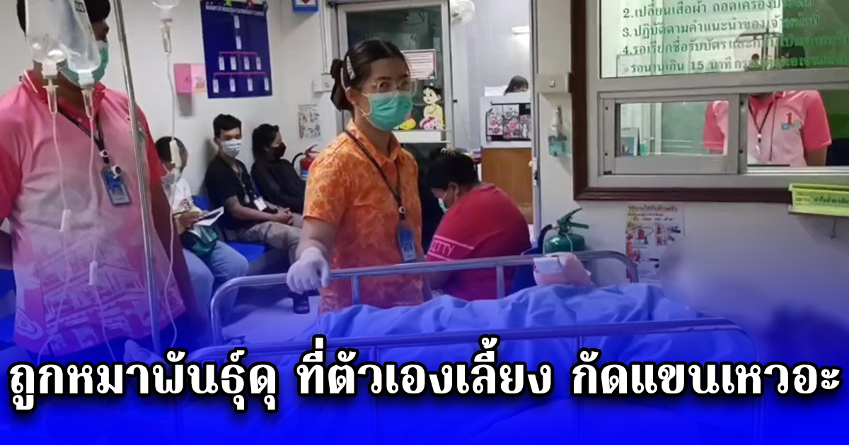 สาวเคราะห์ร้าย ถูกหมาพันธุ์ดุ ที่ตัวเองเลี้ยง กัดแขนเหวอะ อาการสาหัส