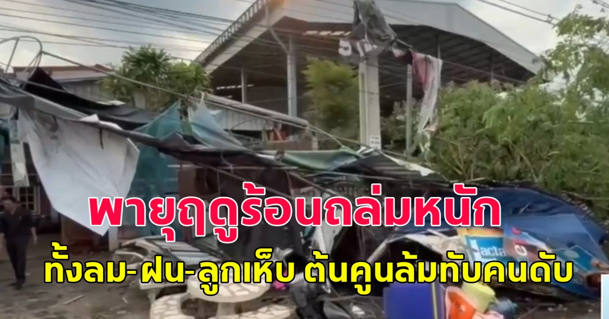 พายุฤดูร้อนถล่มหนัก ทั้งลม-ฝน-ลูกเห็บ ต้นคูนล้มทับคนดับ