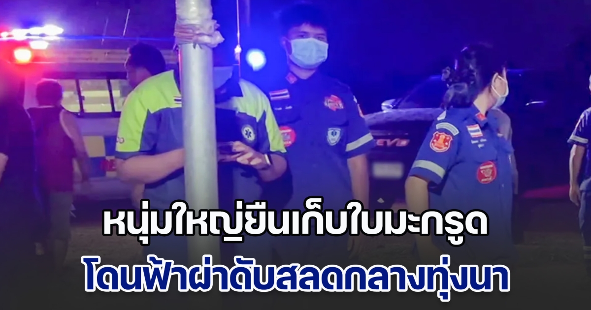 หนุ่มใหญ่ยืนเก็บใบมะกรูดจะไปทำกับข้าว พลันเกิดเมฆฝนมืดครึ้ม สุดท้ายโดนฟ้าผ่า ดับสลดกลางทุ่งนา