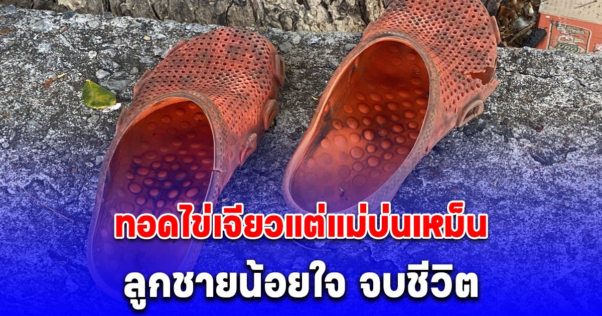 หิวข้าวกลางดึกลุกมาทอดไข่เจียวแต่แม่บ่นเหม็น ลูกชายน้อยใจปีนต้นไม้จบชีวิต