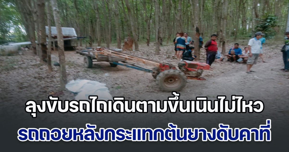 ลุงขับรถไถเดินตามขึ้นเนินไม่ไหว รถถอยหลังกระแทกต้นยางดับคาที่