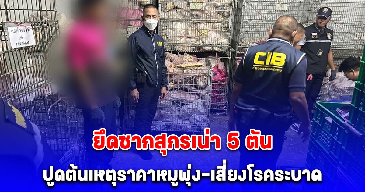 กวาดล้างหมูเถื่อนกลางตลาดดัง! ยึดซากสุกรเน่า 5 ตัน ปูดต้นเหตุราคาหมูพุ่ง-เสี่ยงโรคระบาด