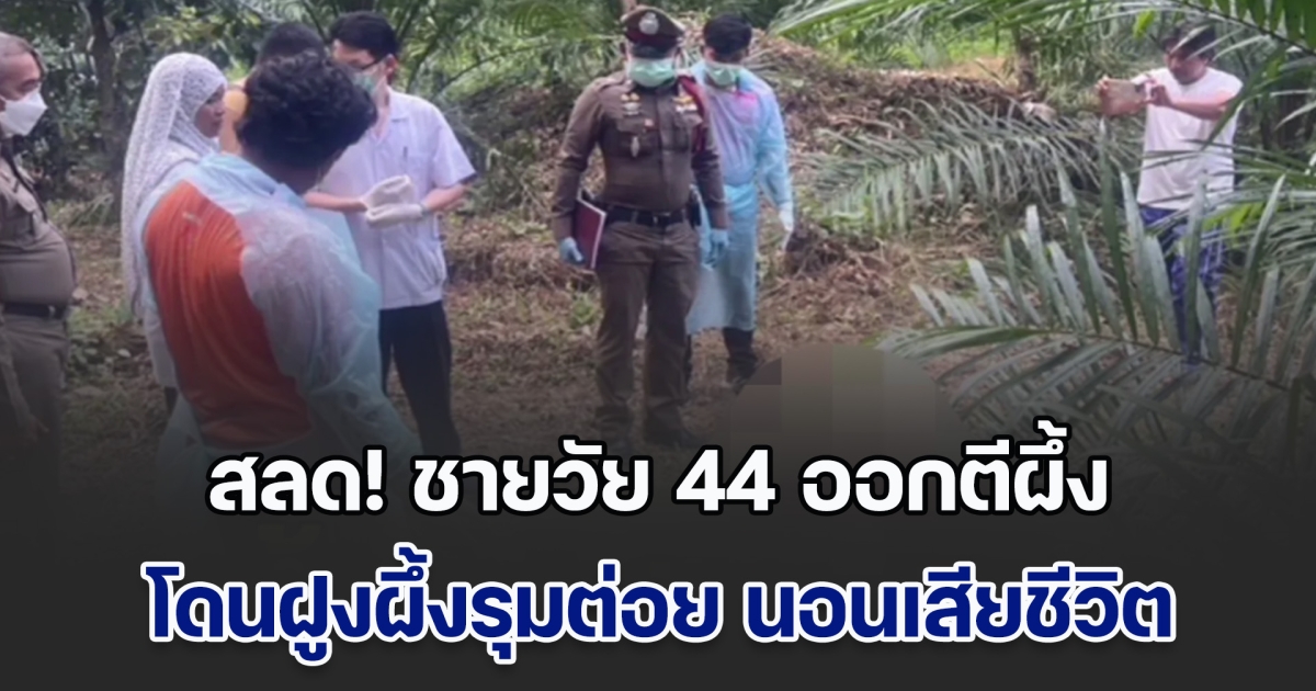 สลด! ชายวัย 44 ออกตีผึ้ง พลาดโดนฝูงผึ้งรุมต่อย นอนเสียชีวิตอยู่กลางสวนปาล์ม กว่าจะมีคนเจอ ก็ปาไป 4 วันแล้ว