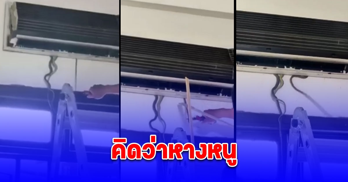 สาวเวียดนามตกใจร้องลั่น คิดว่าหางหนู เปิดออกมาช็อก รังงูอยู่ในช่องแอร์