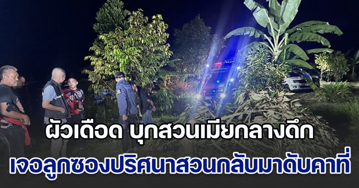 ผัวเดือด บุกสวนเมียกลางดึก ตัดโค่นต้นทุเรียน ที่ร่วมกันลงทุนลงแรงปลูกมาหลายปี เจอลูกซองปริศนาสวนกลับมาดับคาที่