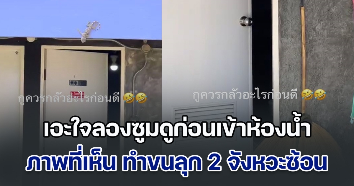 สาวเที่ยวจุดตั้งแคมป์ กำลังเดินไปห้องน้ำ เอะใจลองซูมดูก่อน ภาพที่เห็นตรงหน้า ทำขนลุก 2 จังหวะซ้อน