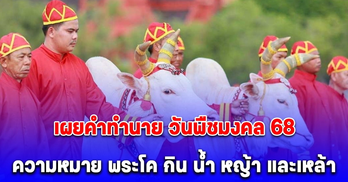 เผยคำทำนาย วันพืชมงคล 68 ความหมาย พระโค กิน น้ำ หญ้า และเหล้า