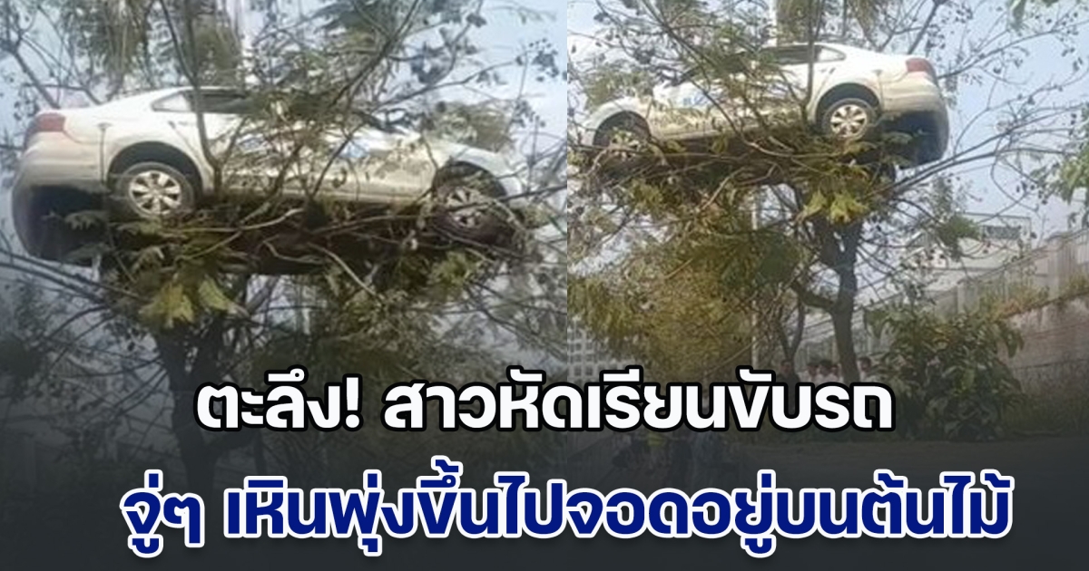 ตะลึงกันทั้งถนน! สาวหัดเรียนขับรถ จู่ๆ เหินพุ่งขึ้นไปจอดอยู่บนต้นไม้ แต่ผลสอบสวนพลิกความคาดหมาย (ข่าวตปท.)
