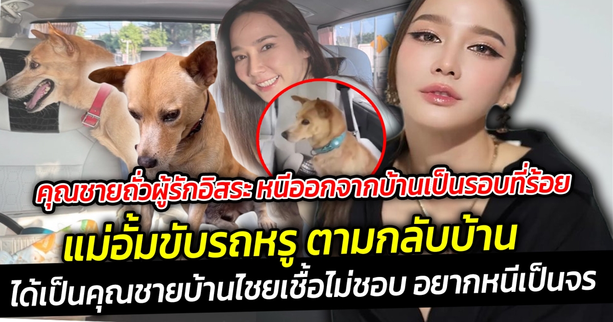 คุณชายถั่วผู้รักอิสระ หนีออกจากบ้านเป็นรอบที่ร้อย อั้ม พัชราภา รีบอุ้มขึ้นรถหรูพากลับบ้าน นี่มันคุณชายบ้านไชยเชื้อชัดๆ