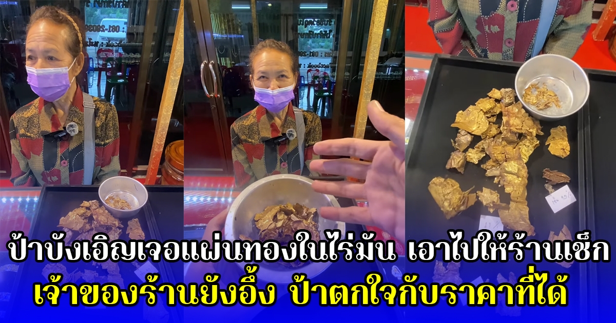 ป้าบังเอิญเจอแผ่นทองในไร่มัน เอาไปให้ร้านเช็ก เจ้าของร้านยังอึ้ง ยกมือท่วมหัว ป้าตกใจกับราคาที่ได้