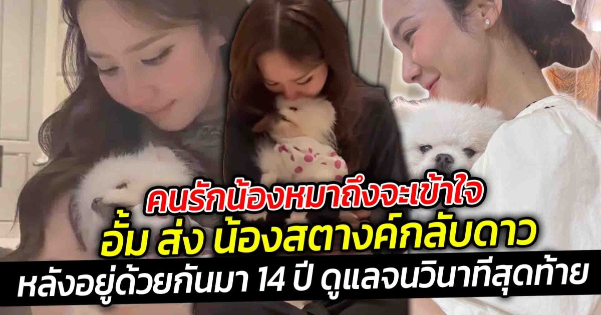 คนรักน้องหมาถึงจะเข้าใจ อั้ม ส่งน้องสตางค์เป็นครั้งสุดท้าย กลับสู่ดาวน้องหมา ไปเล่นกับพี่ๆ บนสวรรค์นะ