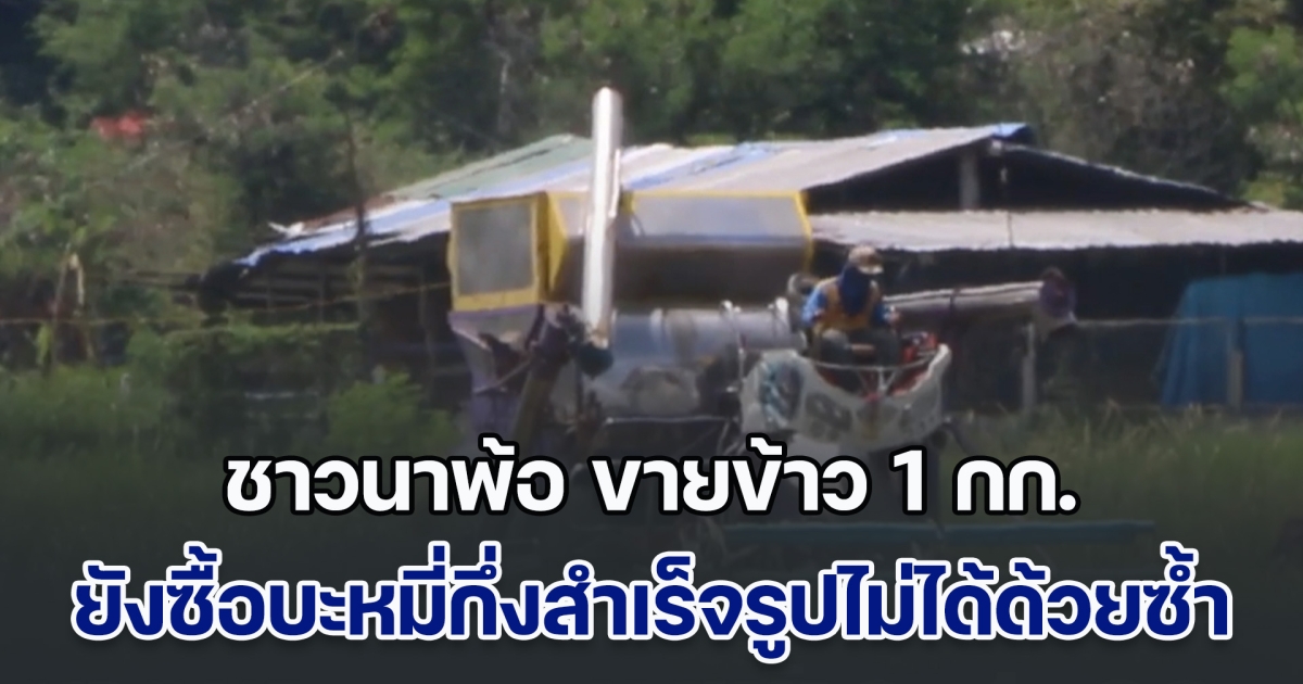 หมดแรงแล้ว! ชาวนาพ้อ ขายข้าว 1 กก.ยังซื้อบะหมี่กึ่งฯไม่ได้ หลังราคาข้าวเปลือกตกต่ำเหลือ 6 บาท/กก. วอนรัฐช่วยดันราคาให้สูงกว่านี้