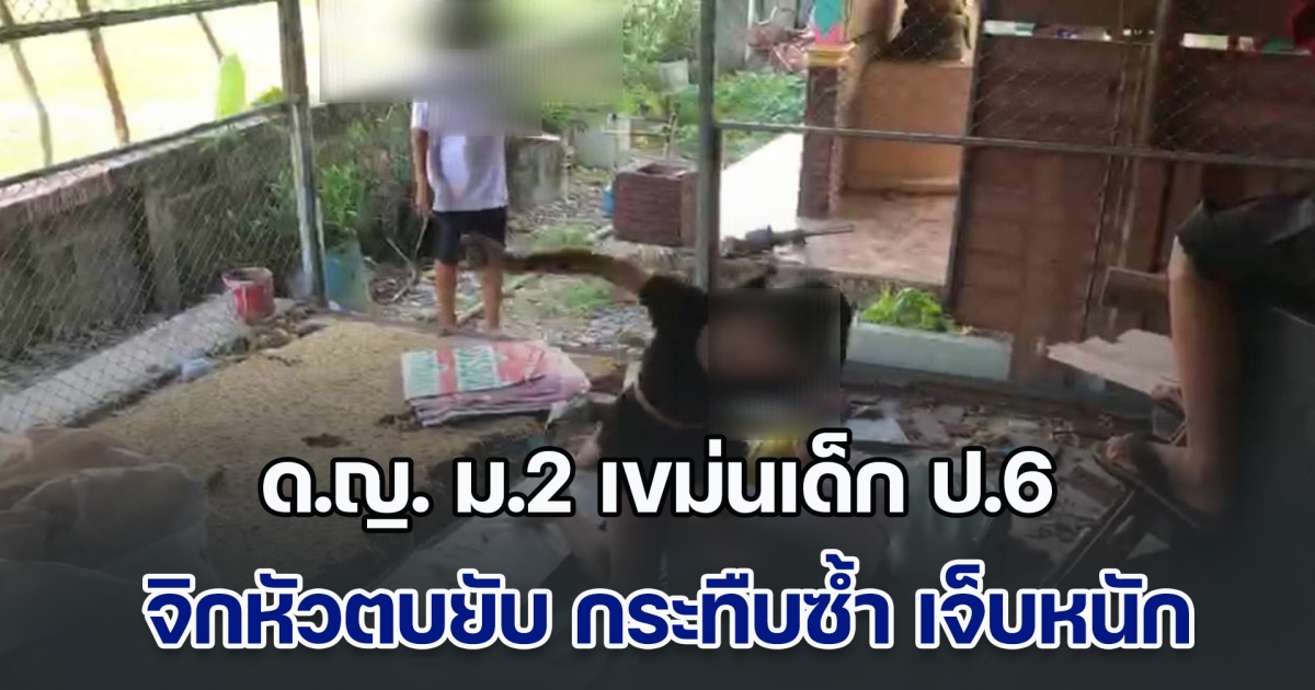 แค้นไม่จาง!  ด.ญ. ม.2 เขม่นเด็ก ป.6 หลังเคยขับรถชนกันมาก่อน จิกหัวตบยับ กระทืบซ้ำ ใครห้ามไม่ฟัง แม้ในโรงเรียนแท้ๆ จนคู่กรณีเจ็บหนัก