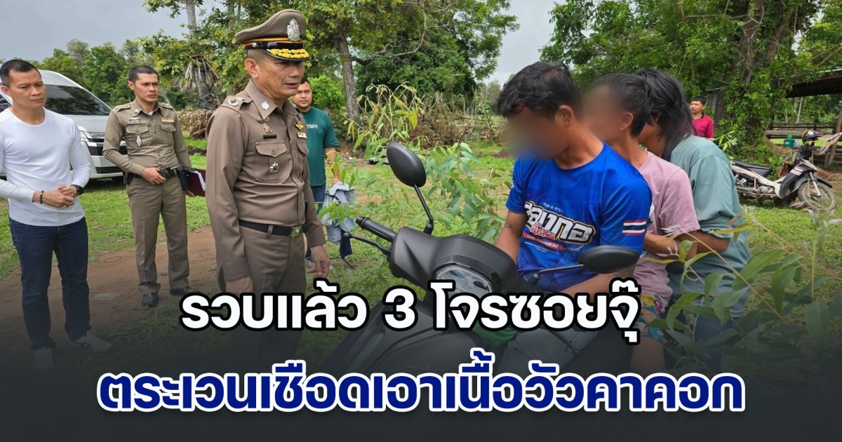 รวบแล้ว 3 โจรซอยจุ๊ ตระเวนขโมยวัวของเกษตรกร แล้วเอามาเชือดชำแหละไม่ห่างจากคอก เอาไปเฉพาะเนื้อ สารภาพเอาเนื้อไปขายให้เขียงเนื้อ