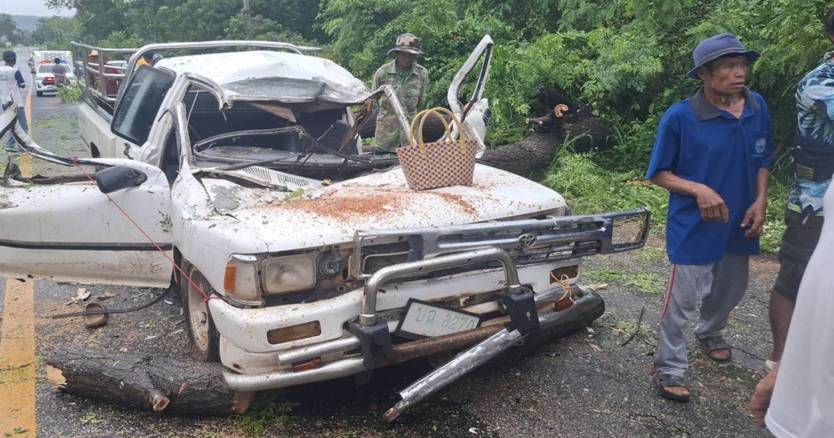 สลด! 3 พ่อแม่ลูกไปส่งข้าวให้ผู้ป่วยที่ รพ. แต่ถูกต้นไม้หักโค่นทับรถ พ่อแม่ดับคู่ ลูกสาวรอดชีวิต