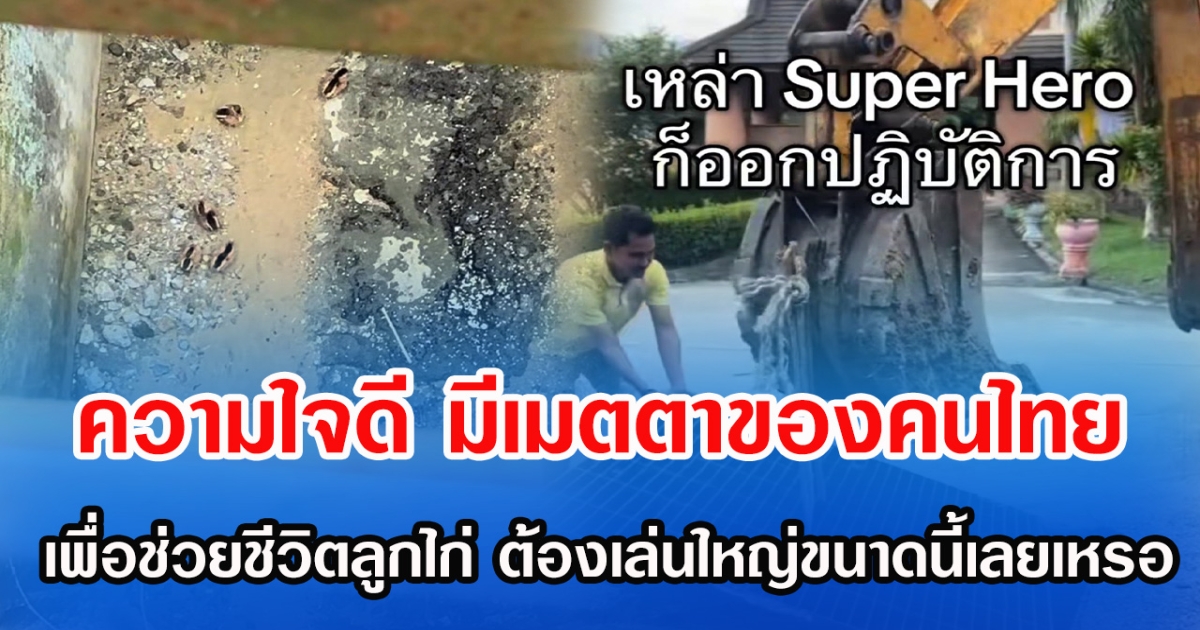 ความใจดี มีเมตตาของคนไทย เพื่อช่วยชีวิตลูกไก่ ต้องเล่นใหญ่ขนาดนี้เลยเหรอ