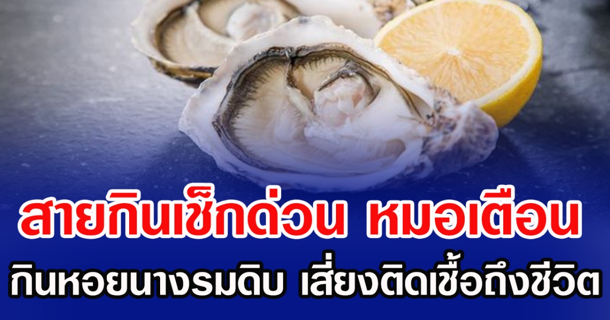สายกินเซ็กด่วน หมอเตือน กินหอยนางรมดิบ เสี่ยงติดเชื้อถึงชีวิต