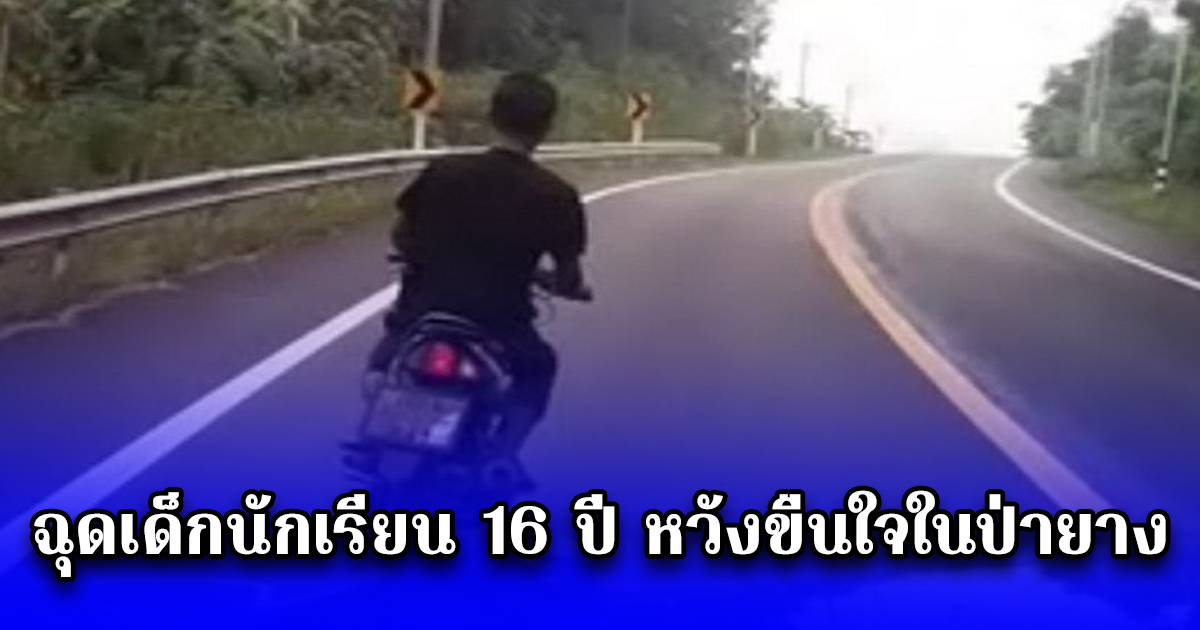 หนุ่มหลอนยาป่วยทางจิต ฉุดเด็กนักเรียน 16 ปี หวังขืนใจในป่ายาง