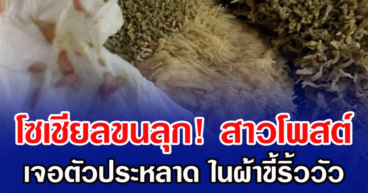 โซเชียลขนลุก! สาวโพสต์ เจอ ตัวประหลาด ในผ้าขี้ริ้ววัว