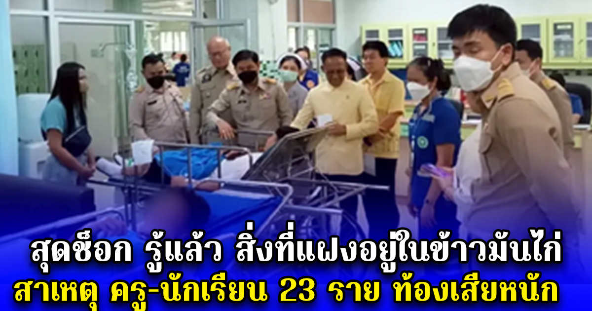 สุดช็อก รู้แล้ว สิ่งที่แฝงอยู่ในข้าวมันไก่ สาเหตุ ครู-นักเรียน 23 ราย ท้องเสียหนัก