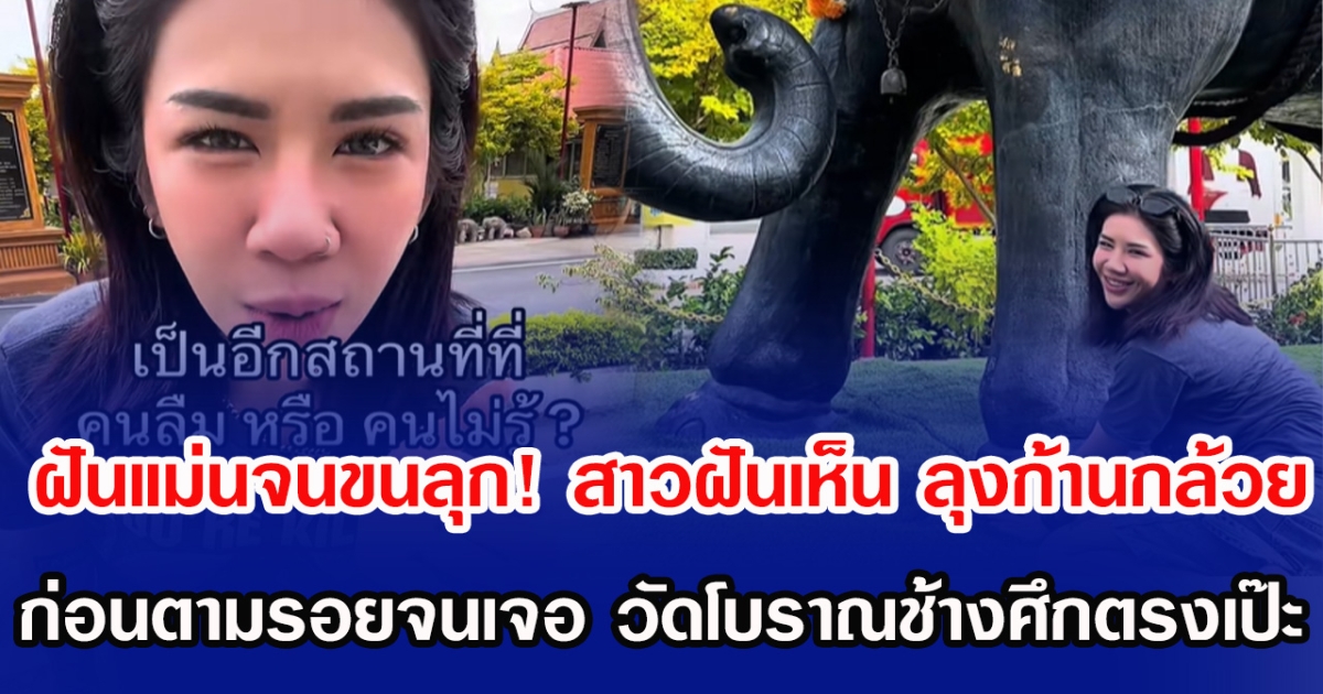 ฝันแม่นจนขนลุก! สาวฝันเห็น ลุงก้านกล้วย ก่อนตามรอยจนเจอวัดโบราณช้างศึกตรงเป๊ะ
