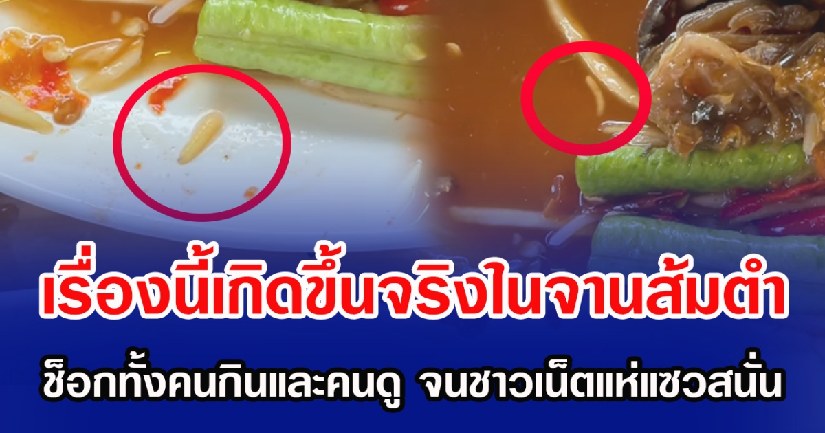 เรื่องนี้เกิดขึ้นจริงในจานส้มตำ ช็อกทั้งคนกินและคนดู จนชาวเน็ตแห่แซวสนั่น