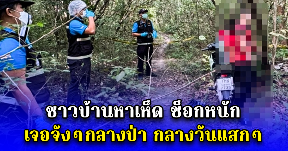 ชาวบ้านหาเห็ดช็อกหนัก เจอจังๆกลางป่า กลางวันแสกๆ