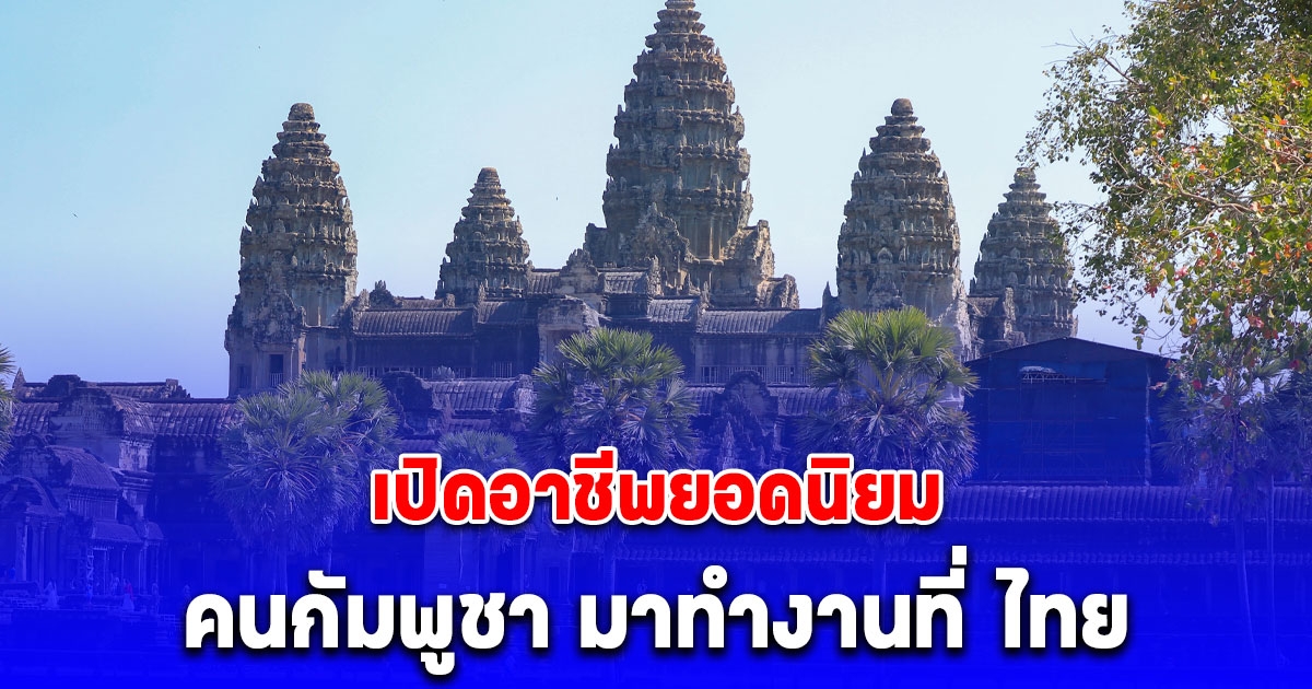 เปิดอาชีพยอดนิยม คนกัมพูชา มาทำงานที่ ไทย มากที่สุด