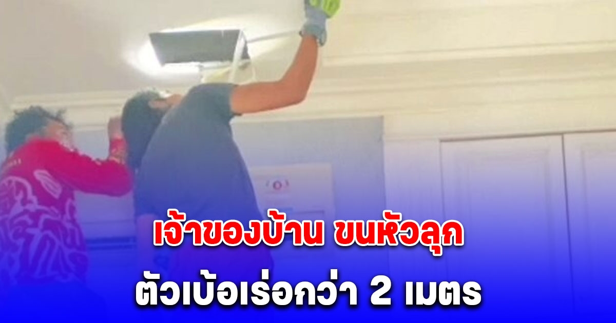 เจ้าของบ้านได้ยินเสียงปริศนามาหลายวัน ช็อกยาวกว่า 2 เมตร อยู่บนฝ้าเพดาน