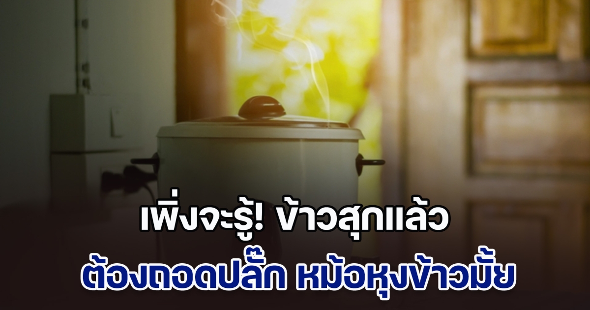 เพิ่งจะรู้! ข้าวสุกแล้วต้อง ถอดปลั๊ก หม้อหุงข้าวหรือไม่ หลายคนทำผิดมาตลอด
