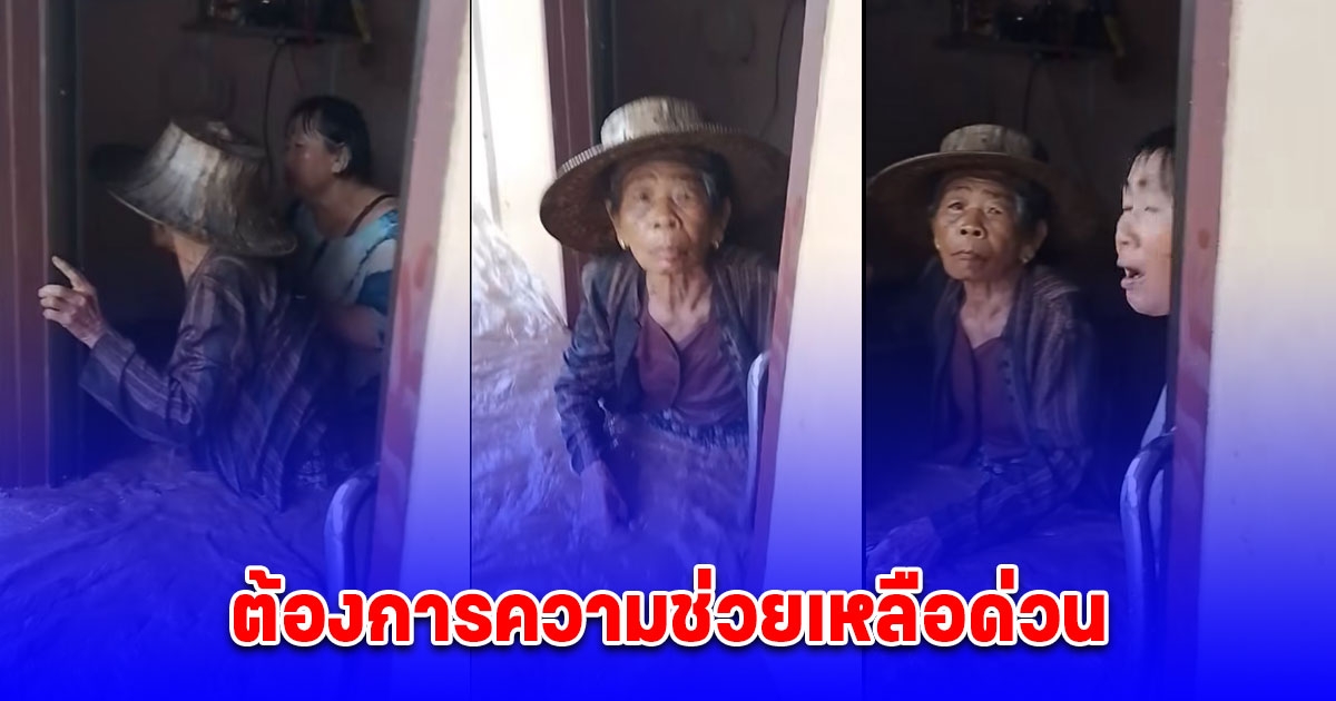 ต้องการความช่วยเหลือด่วน มีคนแก่อายุ 90 ปี และ 87 ปี ติดอยู่ในบ้าน หลังน้ำท่วมหนัก เครื่องใช้ไฟฟ้า บ้าน รถ ไปหมดแล้วไม่เหลืออะไรเลย