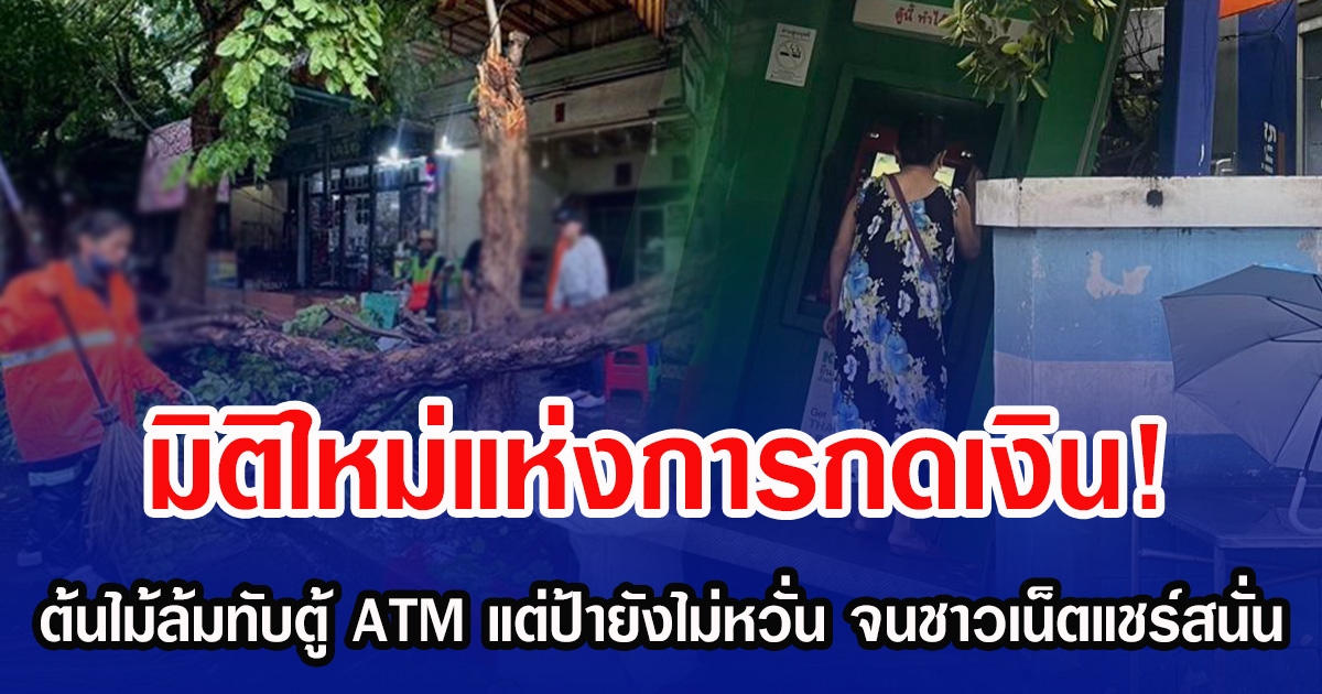 มิติใหม่แห่งการกดเงิน! ต้นไม้ล้มทับตู้ ATM แต่ป้ายังไม่หวั่น จนชาวเน็ตแชร์สนั่น