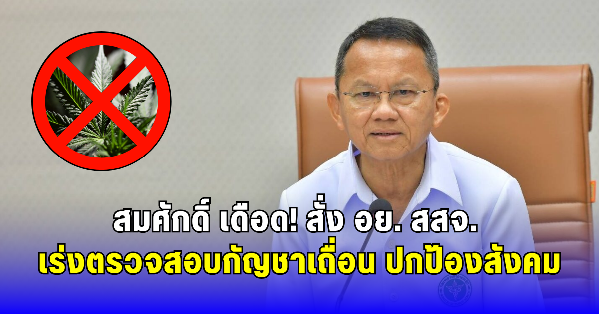 สมศักดิ์ เดือด สั่ง อย. สสจ. เร่งตรวจสอบสินค้ากัญชาเสี่ยง ปกป้องสังคม