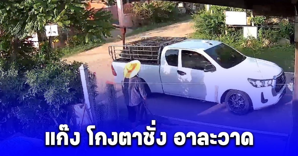 แก๊ง โกงตาชั่ง อาละวาด ป้าเลี้ยงหมูโดน 9 ตัว วิ่งตามลิ้นห้อยวอนล่าตัว ล่าสุดรู้ตัวแก๊งนี้แล้ว