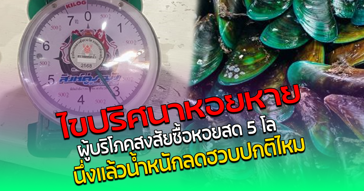 ไขปริศนาหอยหาย ผู้บริโภคสงสัย ซื้อหอยสด 5 โล นึ่งแล้วน้ำหนักลดฮวบ