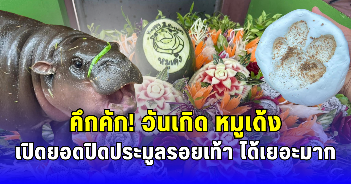 คึกคัก วันเกิด หมูเด้ง เปิดยอดปิดประมูลรอยเท้า ได้เยอะมาก