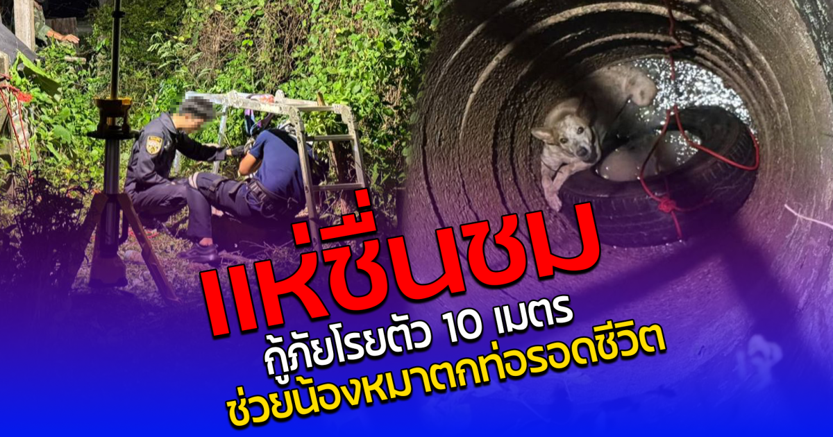 แห่ชื่นชม กู้ภัยโรยตัว 10 เมตร ช่วยน้องหมาตกท่อรอดชีวิต