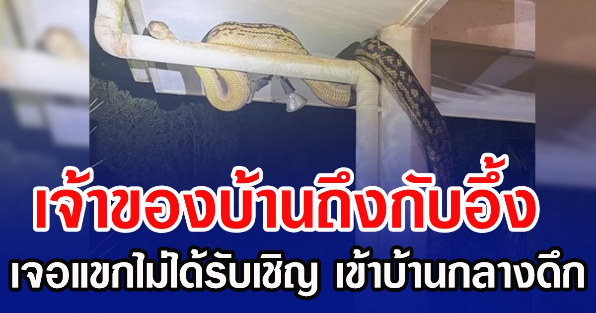 เจ้าของบ้านถึงกับอึ้ง เจอแขกไม่ได้รับเชิญ เข้าบ้านกลางดึก