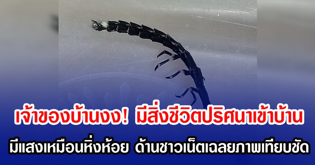 เจ้าของบ้านงง! มีสิ่งชีวิตปริศนาเข้าบ้าน มีแสงเหมือนหิ่งห้อย ด้านชาวเน็ตเฉลยภาพเทียบชัด